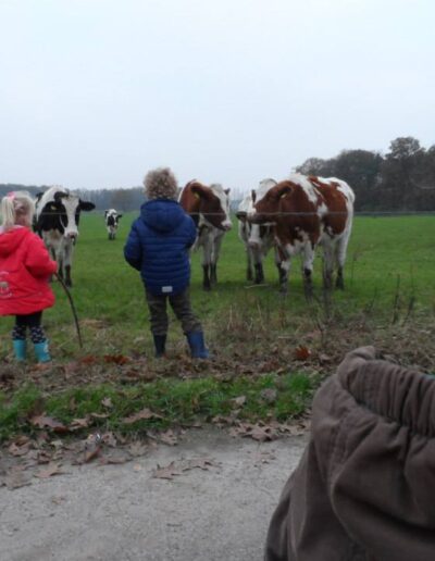 Ontdek onze groene gastouderopvang in Overloon. Wij bieden antroposofische kinderopvang, Attachment Parenting principes en natuurlijke materialen voor een liefdevolle omgeving. Jij & Wei Overloon - de Groene Gastouder