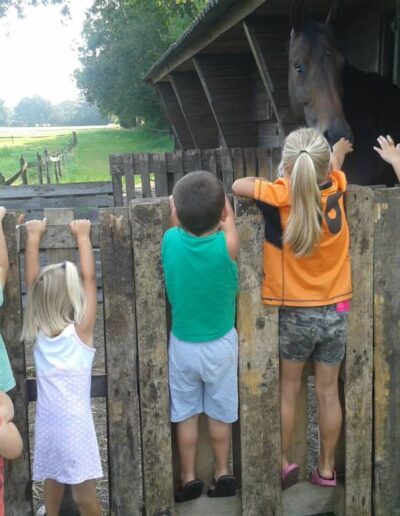 Ontdek onze groene gastouderopvang in Overloon. Wij bieden antroposofische kinderopvang, Attachment Parenting principes en natuurlijke materialen voor een liefdevolle omgeving. Jij & Wei Overloon - de Groene Gastouder