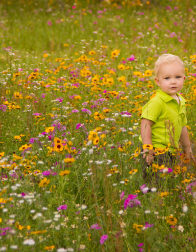 Ontdek onze groene gastouderopvang in Overloon. Wij bieden antroposofische kinderopvang, Attachment Parenting principes en natuurlijke materialen voor een liefdevolle omgeving. Jij & Wei Overloon - de Groene Gastouder